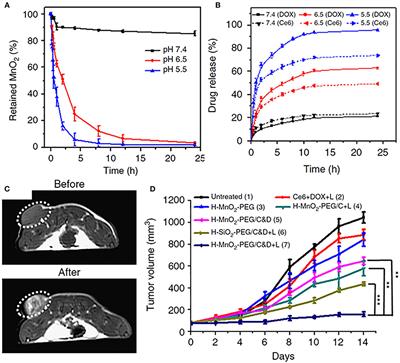 Moving Beyond the Pillars of Cancer Treatment: Perspectives From Nanotechnology